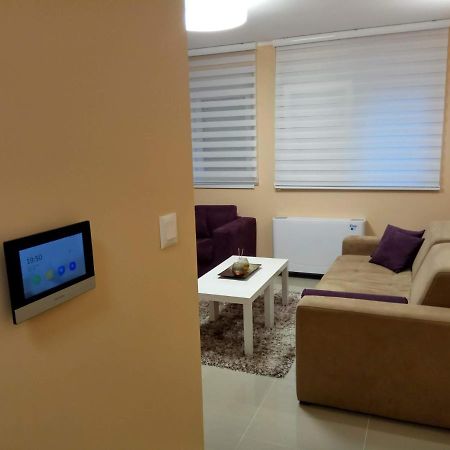 Apartment Cherry Gold Beçkerek Dış mekan fotoğraf